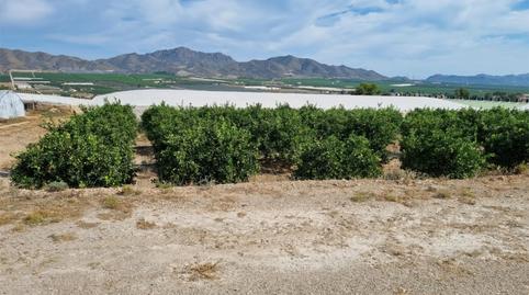 Country house for sale in Diseminado Almendricos, 2, Pozo Higuera, Murcia - image 4 Photo 4 of Country house for sale in Diseminado Almendricos, 2, Pozo Higuera, Murcia