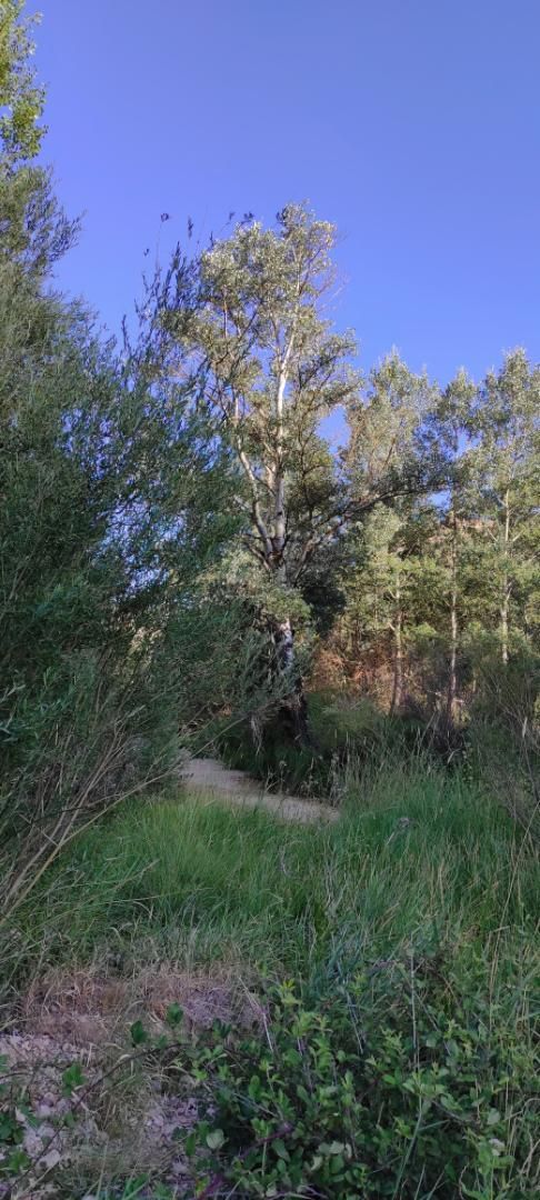 Country house to rent in Calle Umbria, 8, Enguídanos