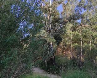 Finca rústica de lloguer a Calle Umbria, 8, Enguídanos