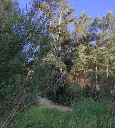 Country house to rent in Calle Umbria, 8, Enguídanos, Cuenca - image 1 Photo 1 of Country house to rent in Calle Umbria, 8, Enguídanos, Cuenca