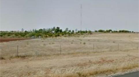 Finca rústica en venta en Cm-413, 1, Almagro, Ciudad Real - imagen 5 Foto 5 de Finca rústica en venta en Cm-413, 1, Almagro, Ciudad Real