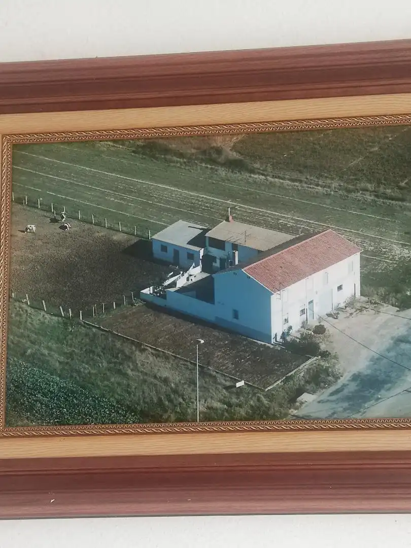 Vista exterior de Casa o xalet en venda en Fresno de la Vega