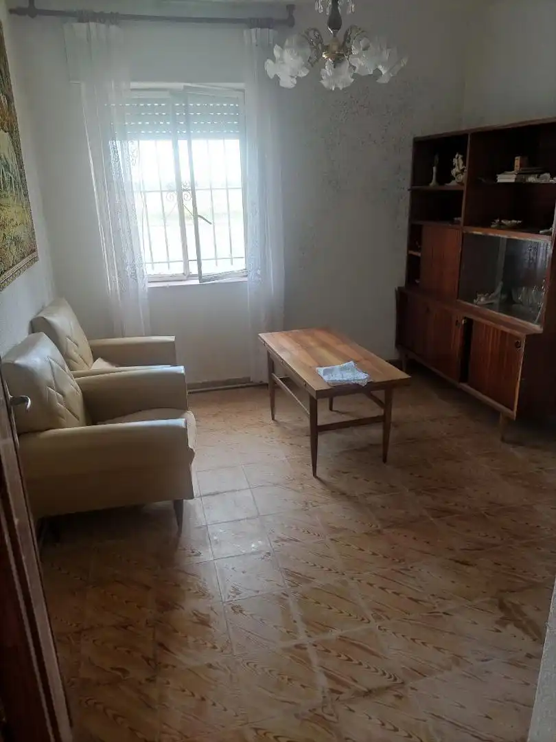 Sala d'estar de Casa o xalet en venda en Fresno de la Vega