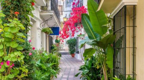 Premises to rent in Avenida de Nabeul, 25, Casco Antiguo, Marbella - image 4 Photo 4 of Premises to rent in Avenida de Nabeul, 25, Casco Antiguo, Marbella