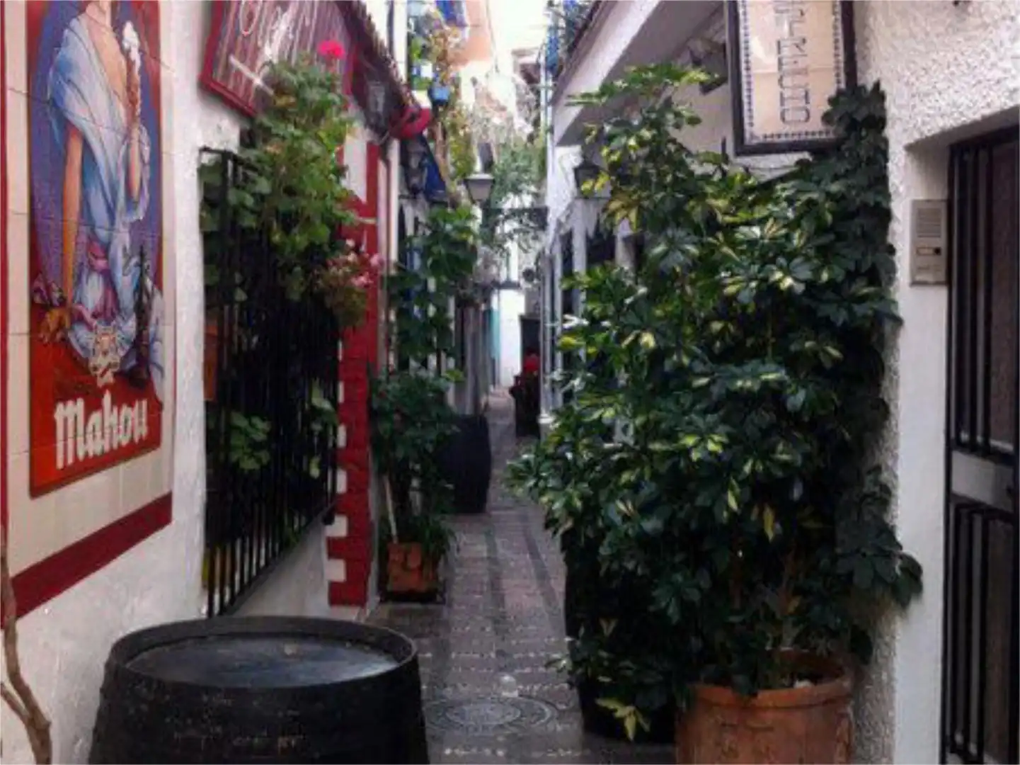 Local de alquiler en Avenida de Nabeul, 25, Casco Antiguo Vista exterior de Local de alquiler en Marbella