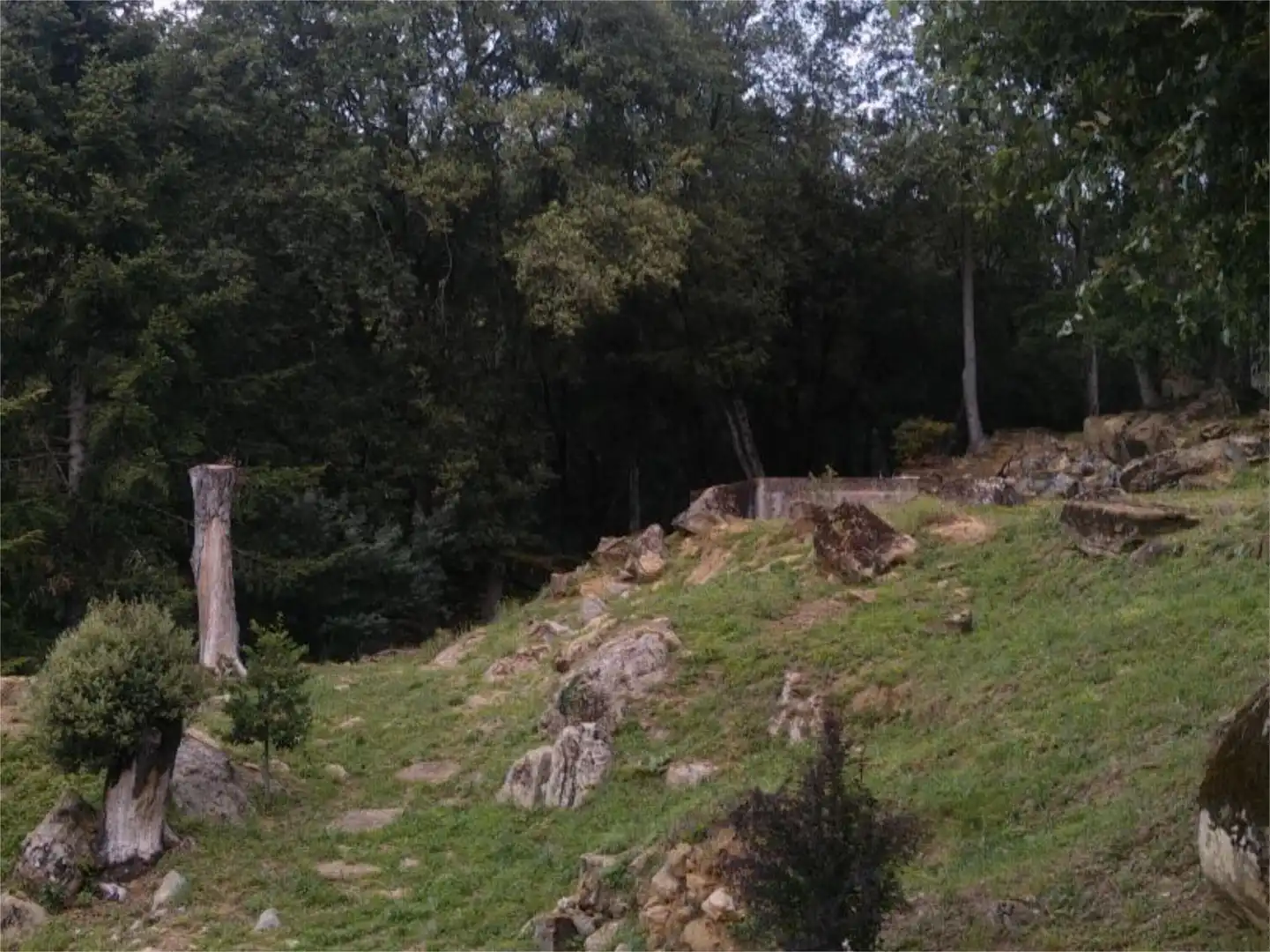 Country homes for sale in Sant Aniol de Finestres  with Terrace and Swimming Pool