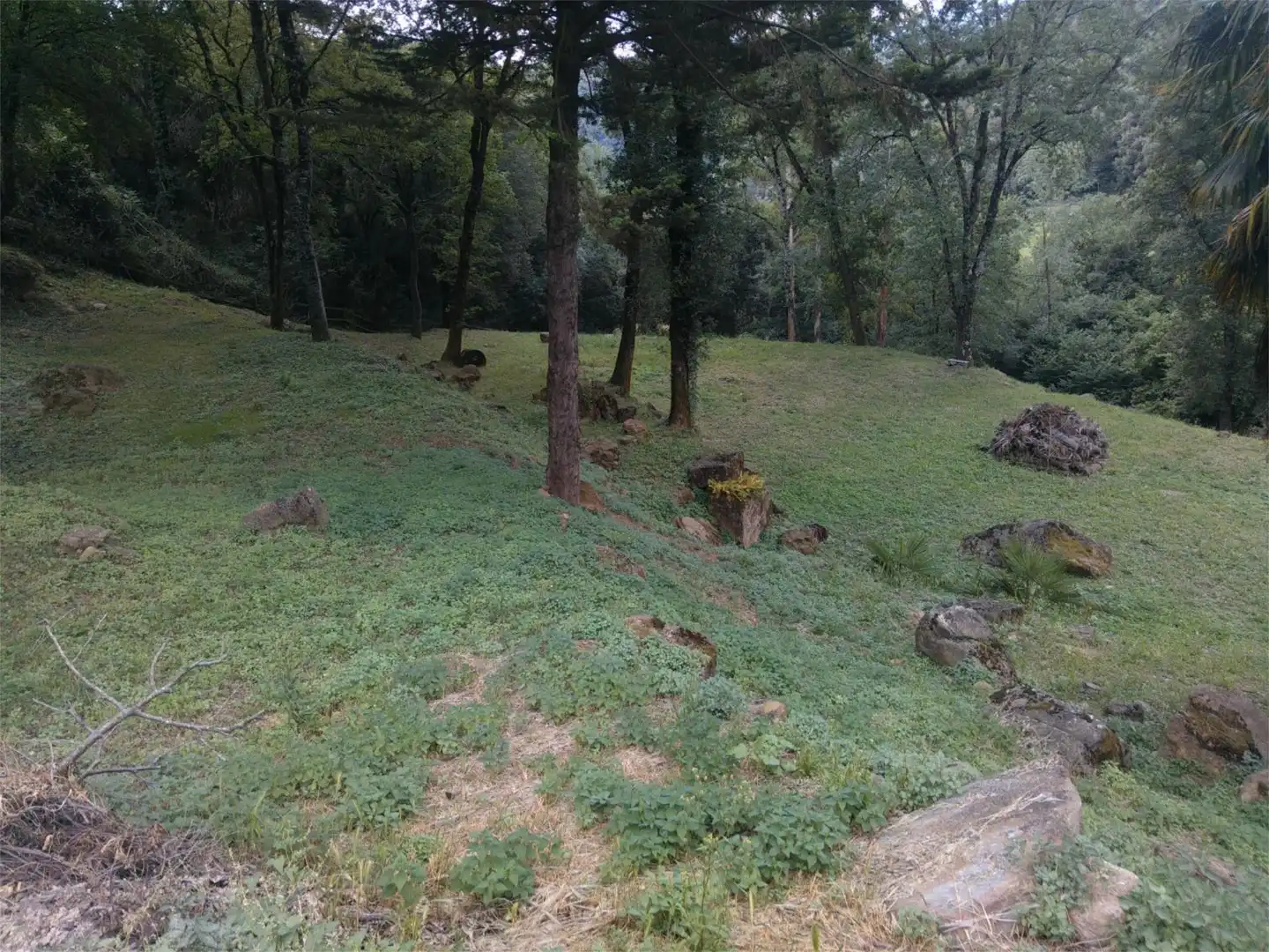 Country homes for sale in Sant Aniol de Finestres  with Terrace and Swimming Pool