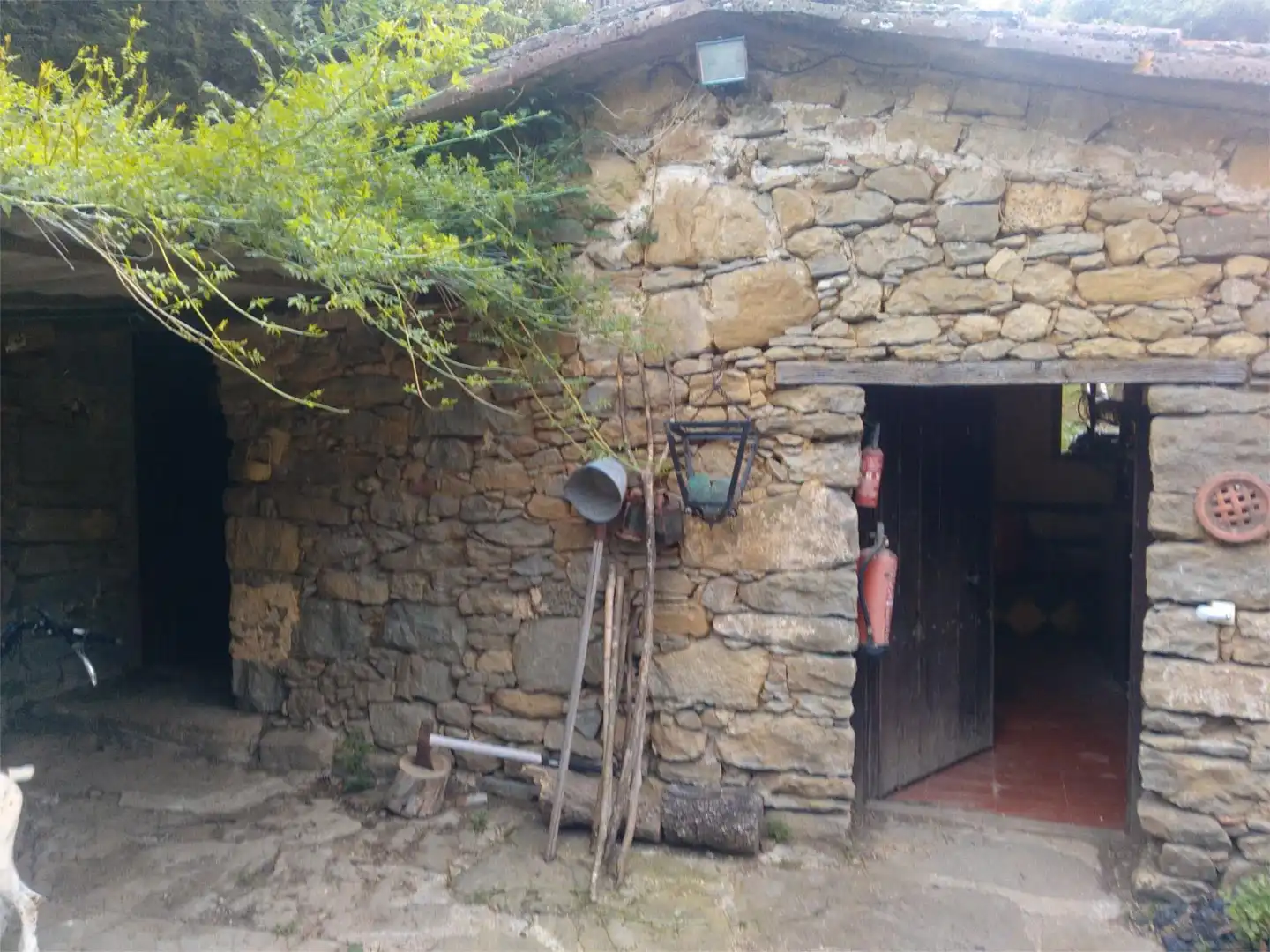 Exterior view of Country homes for sale in Sant Aniol de Finestres  with Terrace and Swimming Pool