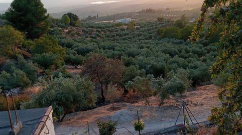 Foto 2 de Finca rústica en venda a Cogollos de la Vega, Granada
