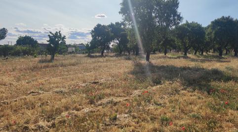 Foto 3 de Casa o xalet en venda a Diseminado Diseminados, 11, Urbanización Siglo XXI - Carretera de Villalpando, Zamora Capital