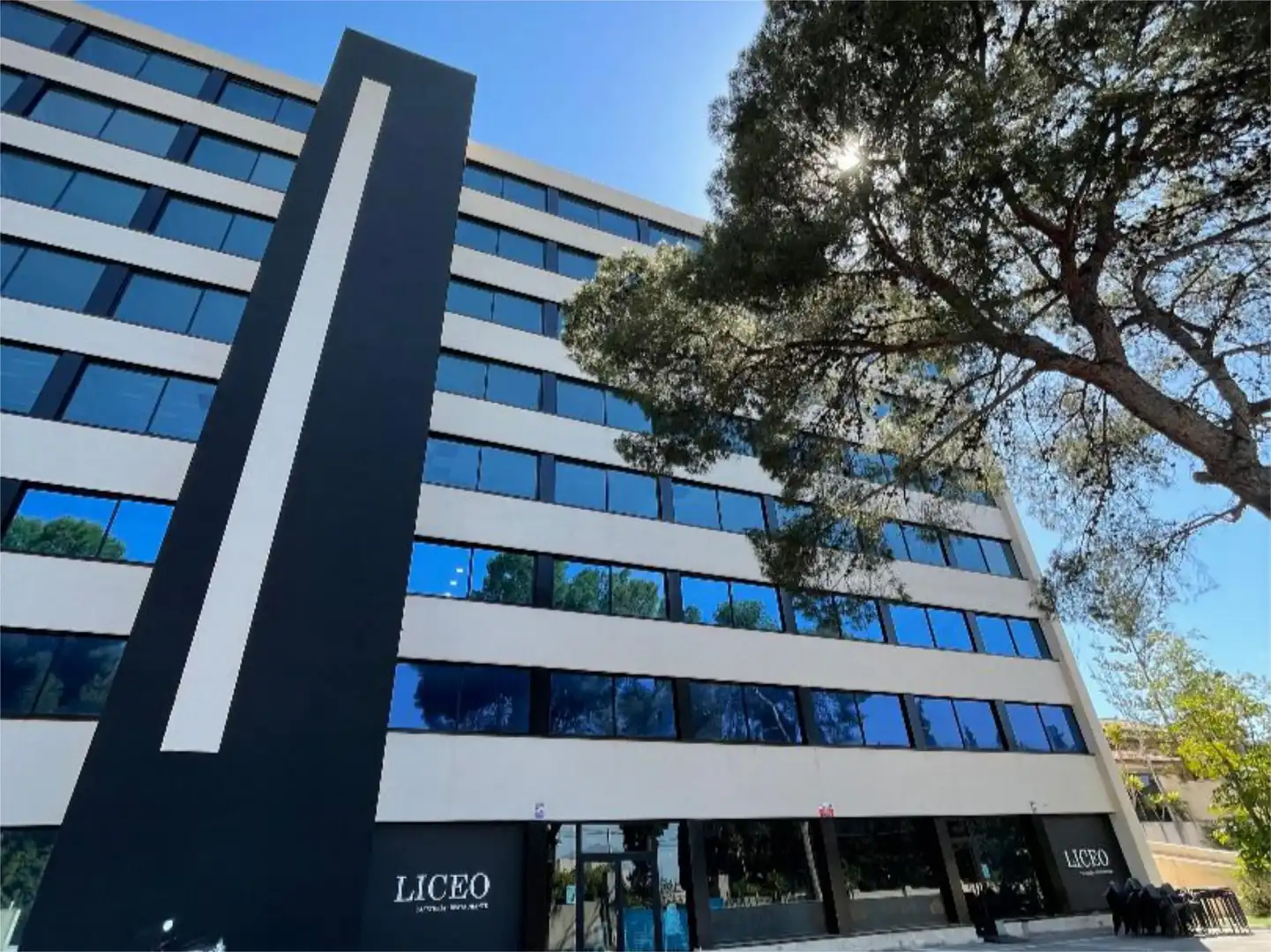 Oficina de alquiler en Avinguda Albufereta, 44, Vistahermosa Oficina de alquiler en Avinguda Albufereta, 44, Vistahermosa