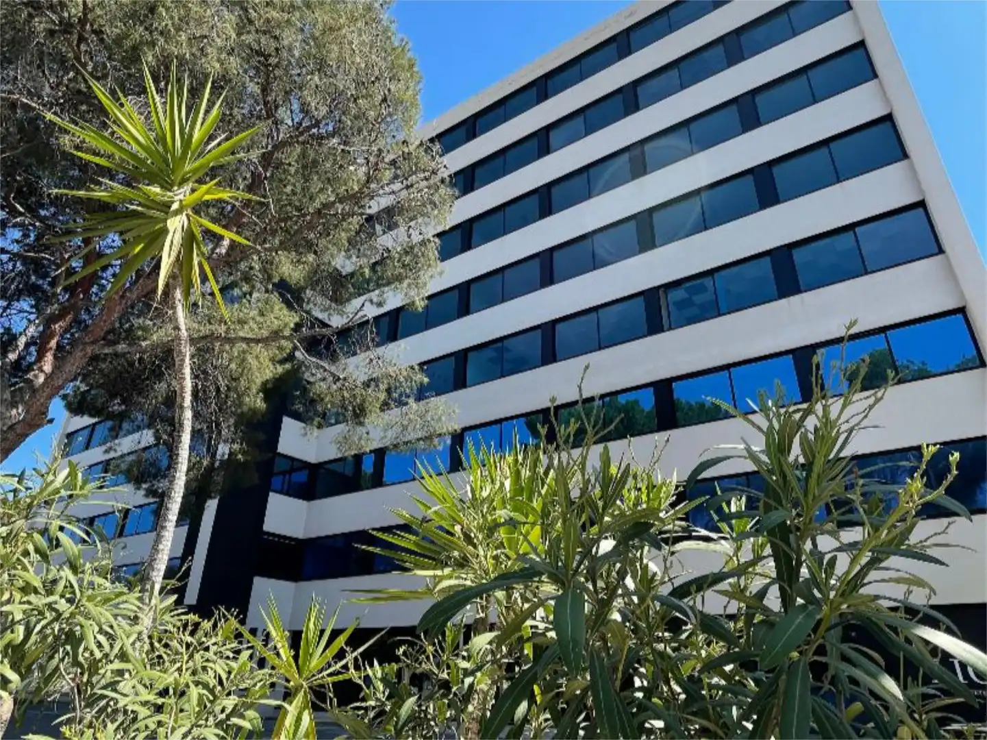 Oficina de alquiler en Avinguda Albufereta, 44, Vistahermosa Oficina de alquiler en Avinguda Albufereta, 44, Vistahermosa