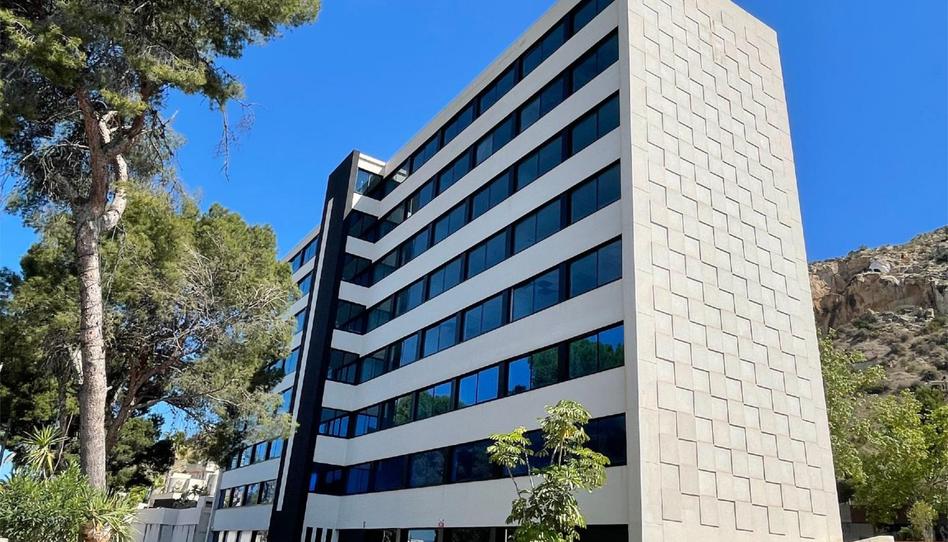 Oficina de lloguer a Avinguda Albufereta, 44, Vistahermosa, Alicante - imatge 1 Foto 1 de Oficina de lloguer a Avinguda Albufereta, 44, Vistahermosa, Alicante