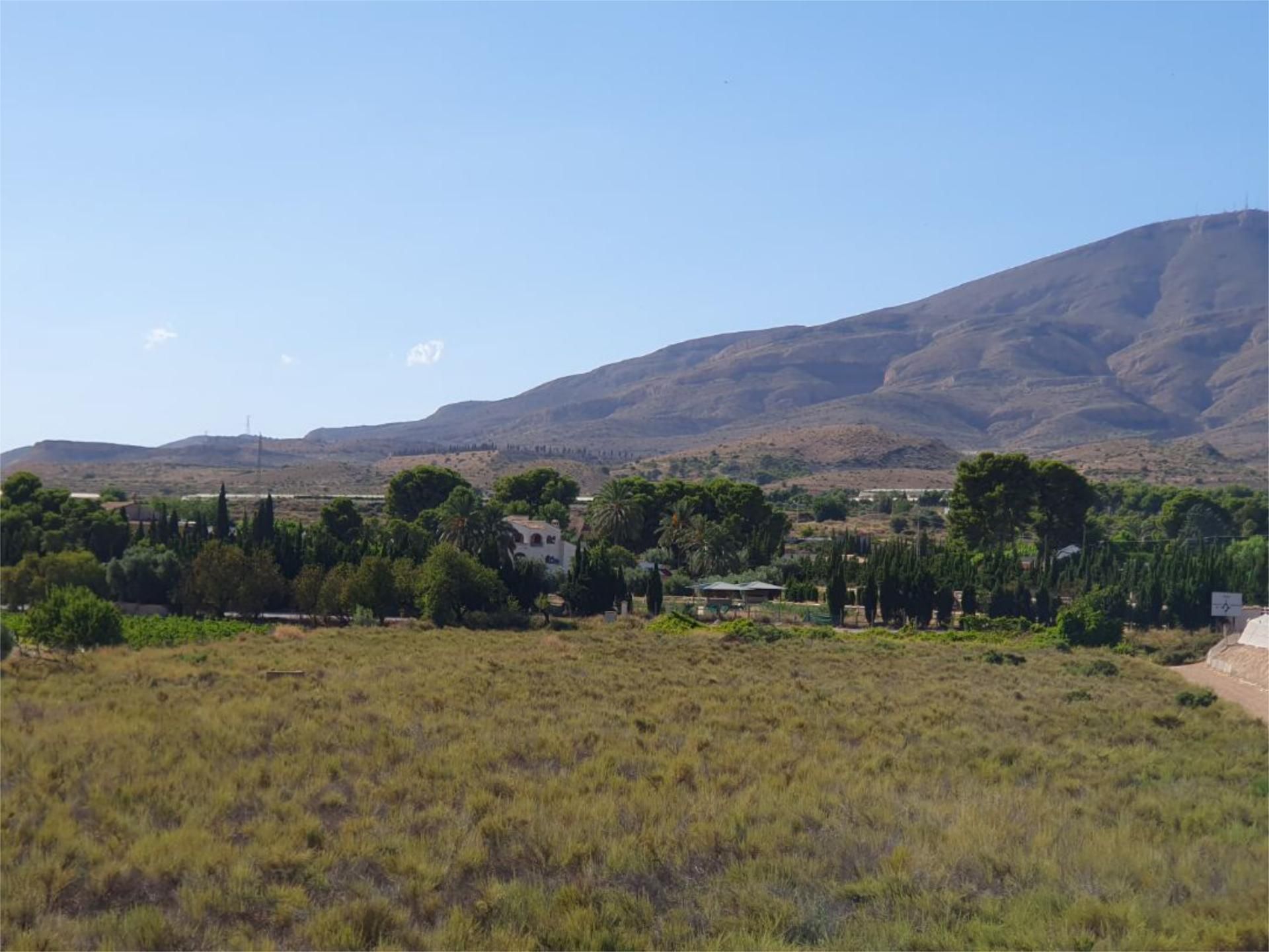 Urbanitzable en venda en Monforte del Cid