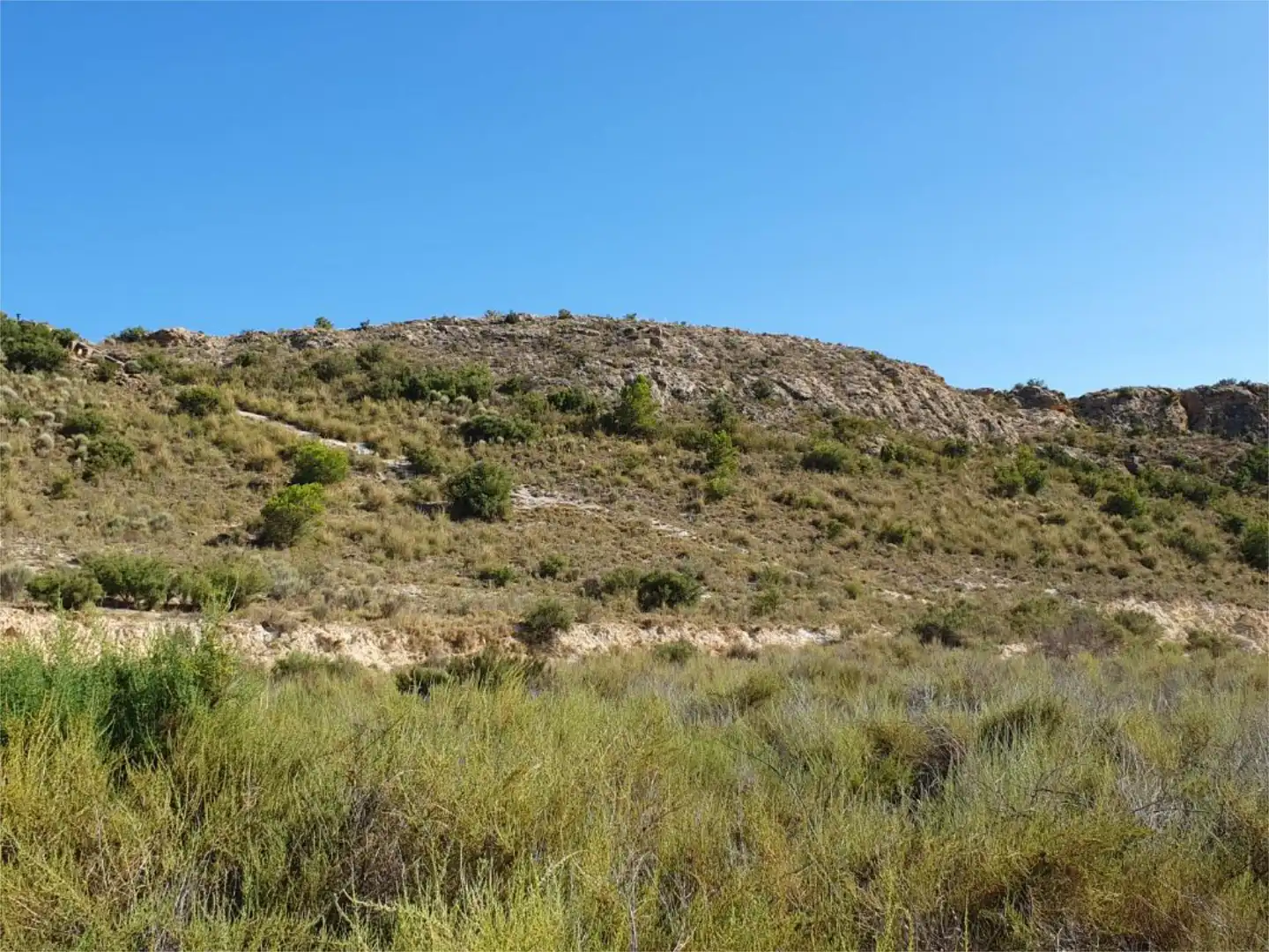 Constructible Land for sale in CV-820, 85, Monforte del Cid Constructible Land for sale in Monforte del Cid