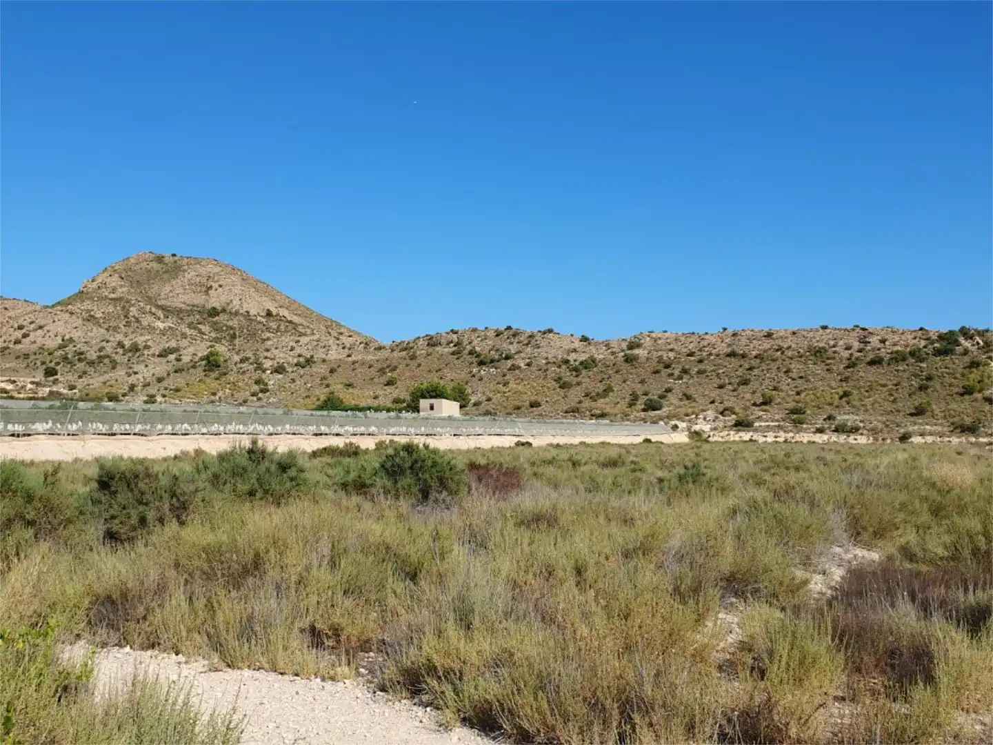 Constructible Land for sale in CV-820, 85, Monforte del Cid Constructible Land for sale in Monforte del Cid