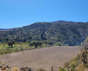 Non-constructible Land for sale in Vélez de Benaudalla