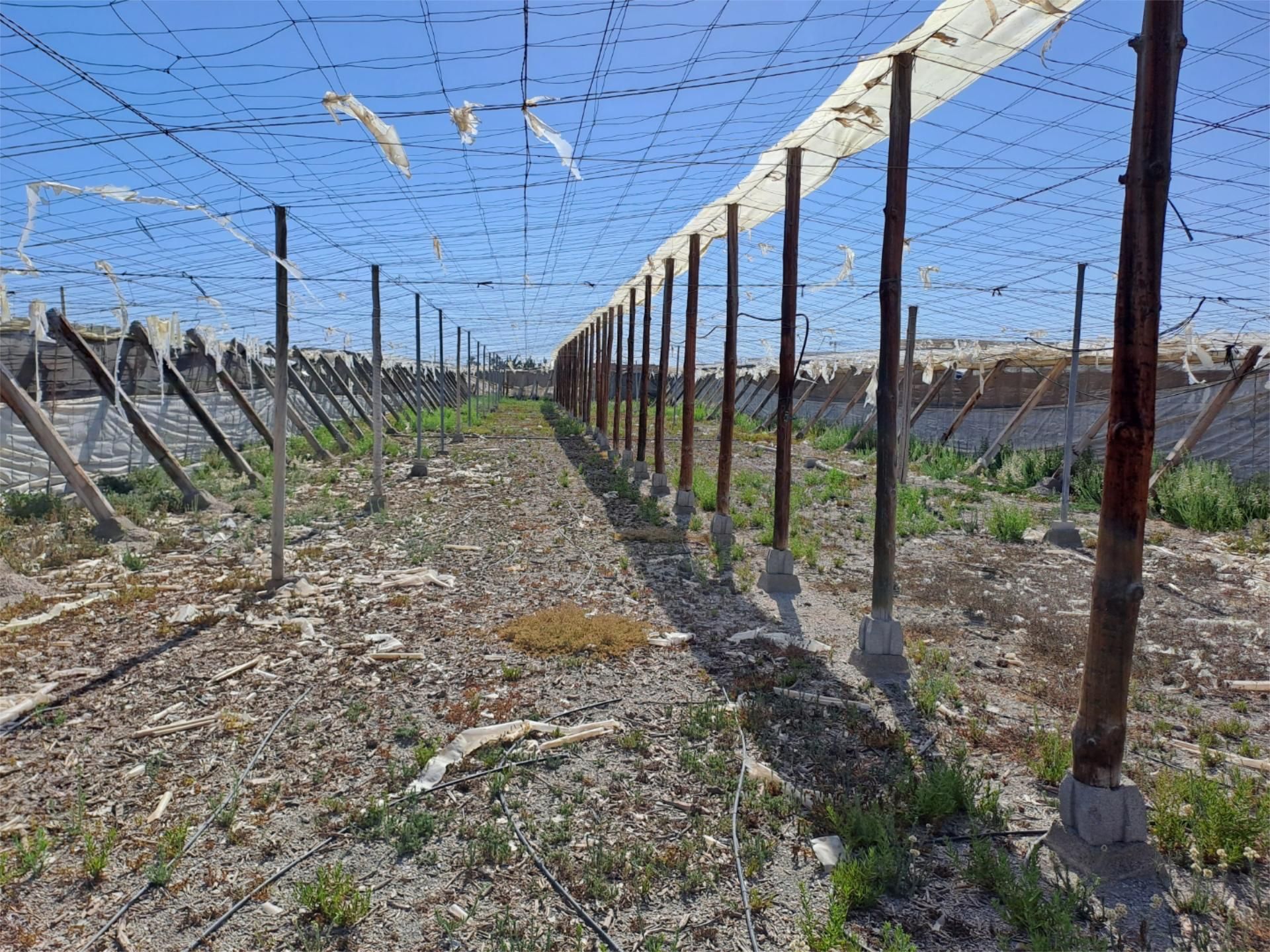 Land for sale in Adra