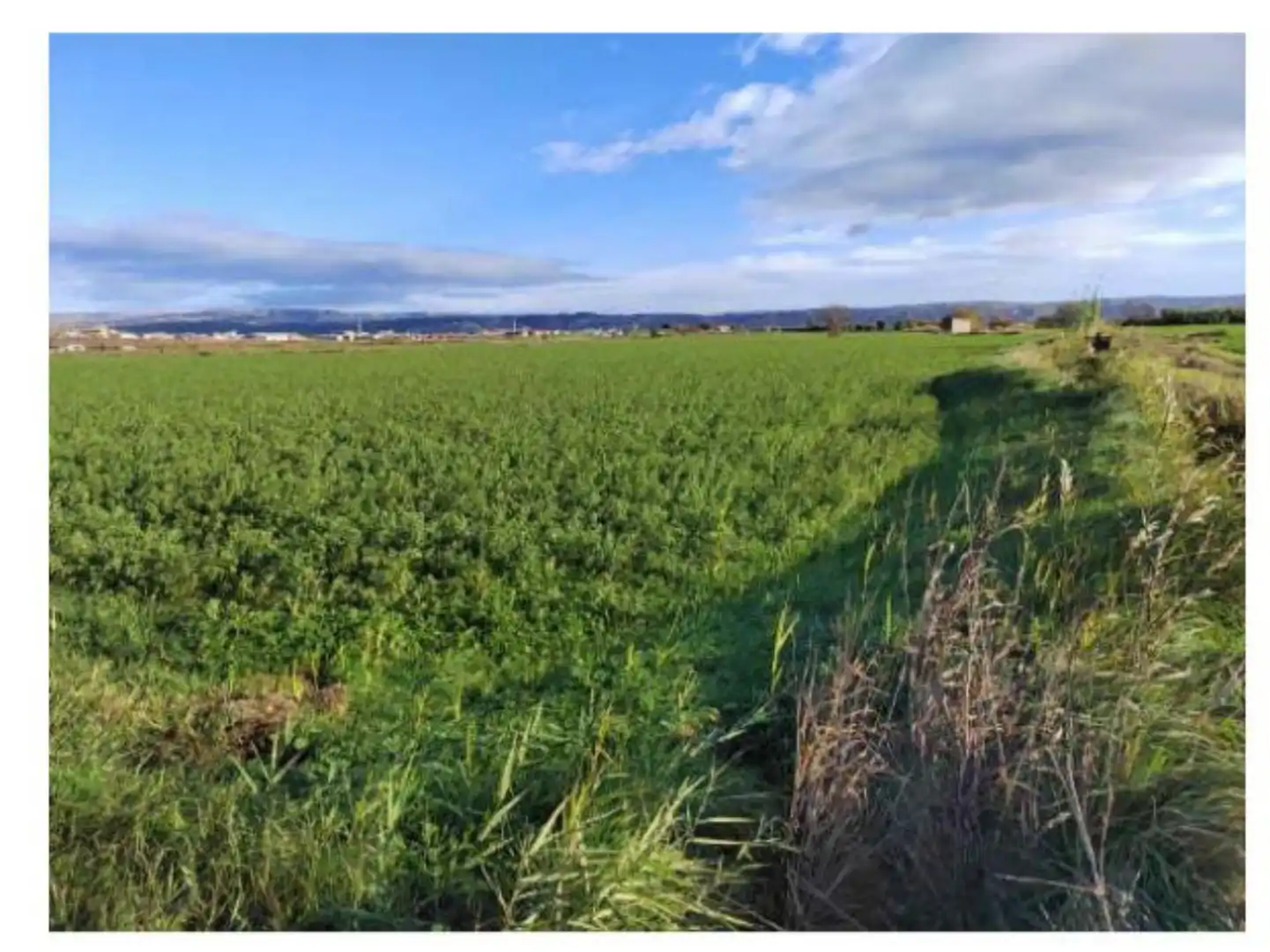 Terreno en venta en Alagón Terreno en venta en Alagón