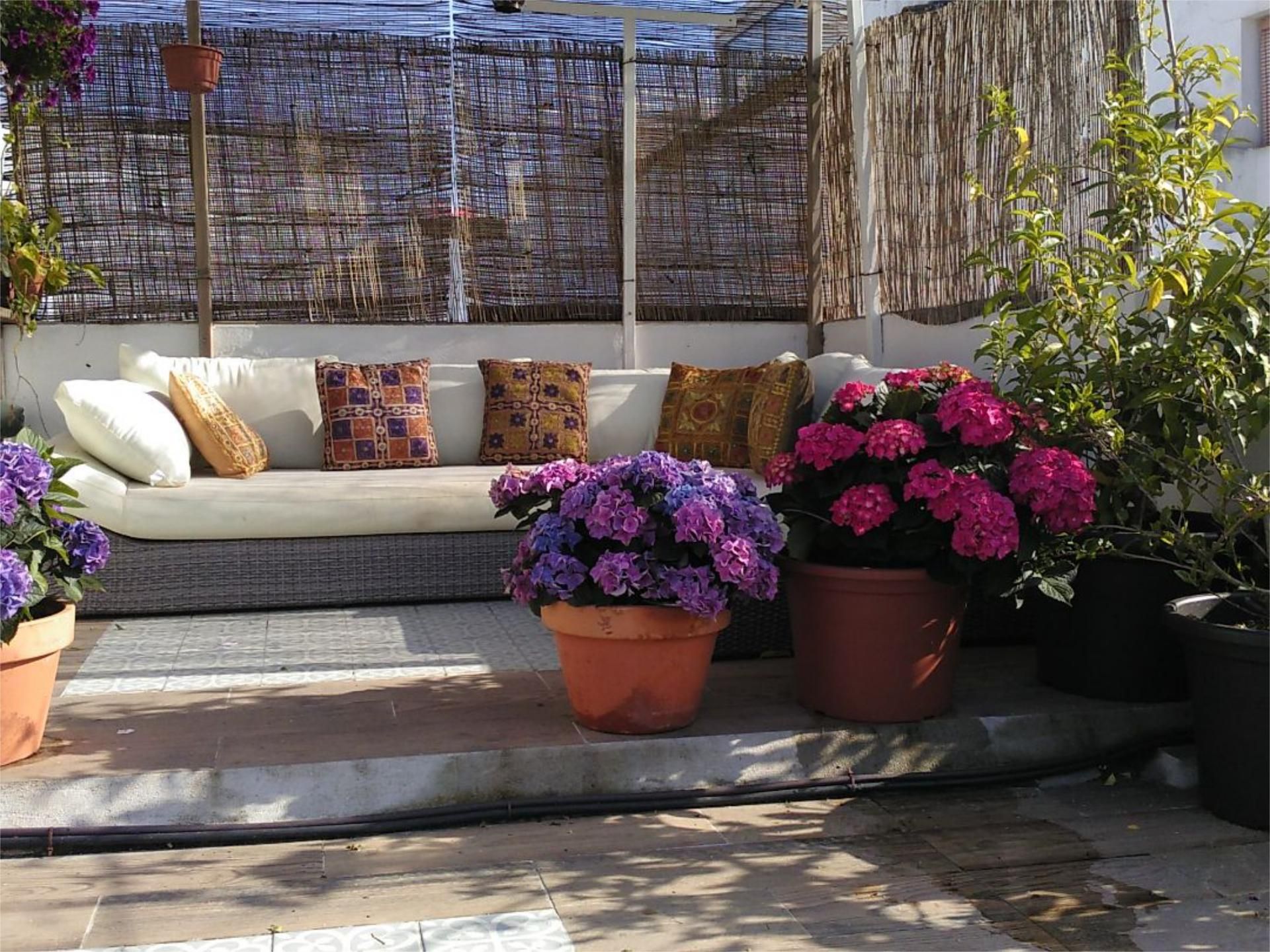 Terrace of Single-family semi-detached for sale in Vejer de la Frontera  with Terrace