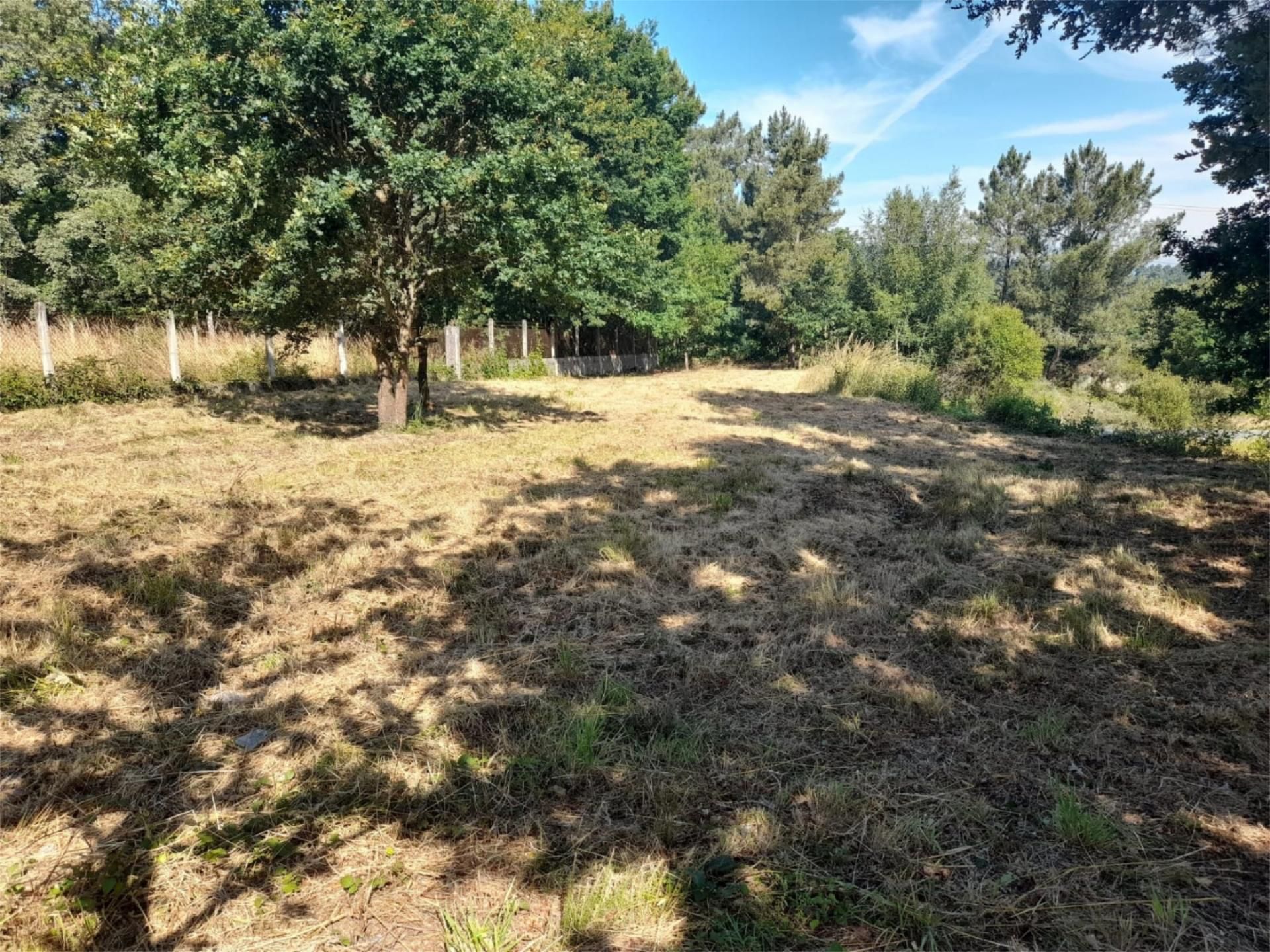 Land for sale in Taboadela