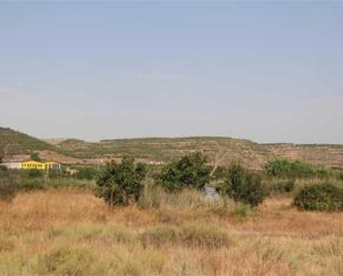 Constructible Land for sale in Fraga