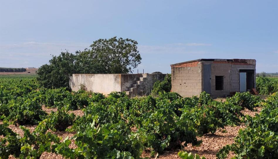 Terreno en venta en El Toboso, Toledo - imagen 1 Foto 1 de Terreno en venta en El Toboso, Toledo