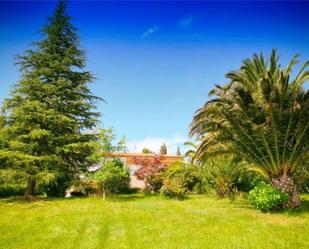 Jardí de Casa o xalet en venda en Cesuras amb Terrassa i Piscina