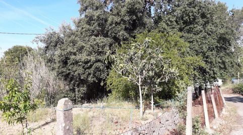 Foto 5 de Terreno en venta en Ronda de Can Fatjó, 18, Serraparera, Cerdanyola del Vallès
