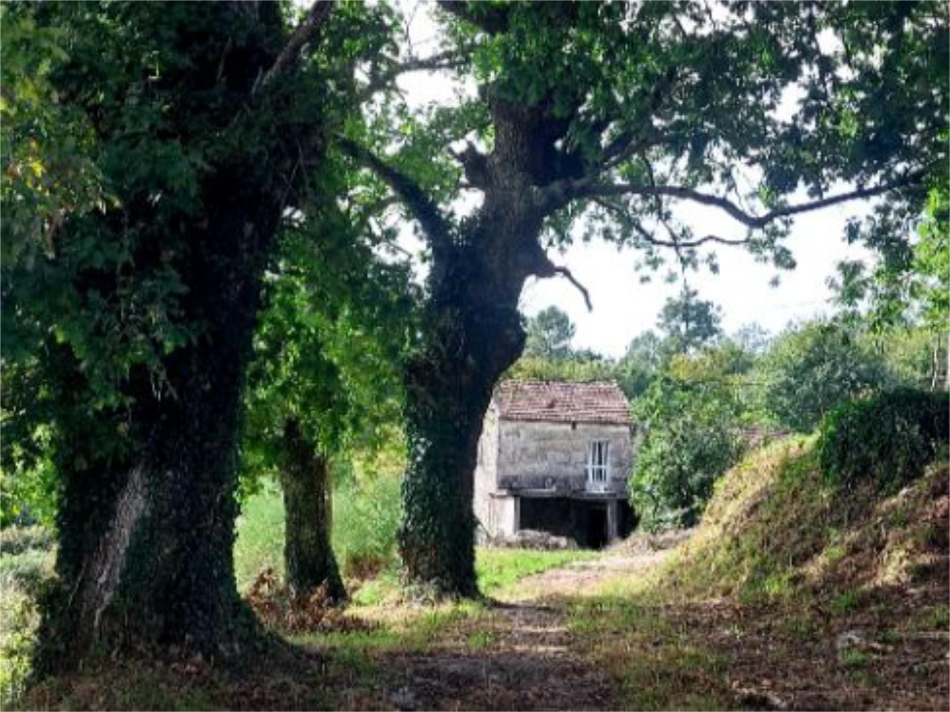 Exterior view of Country house for sale in O Carballiño  