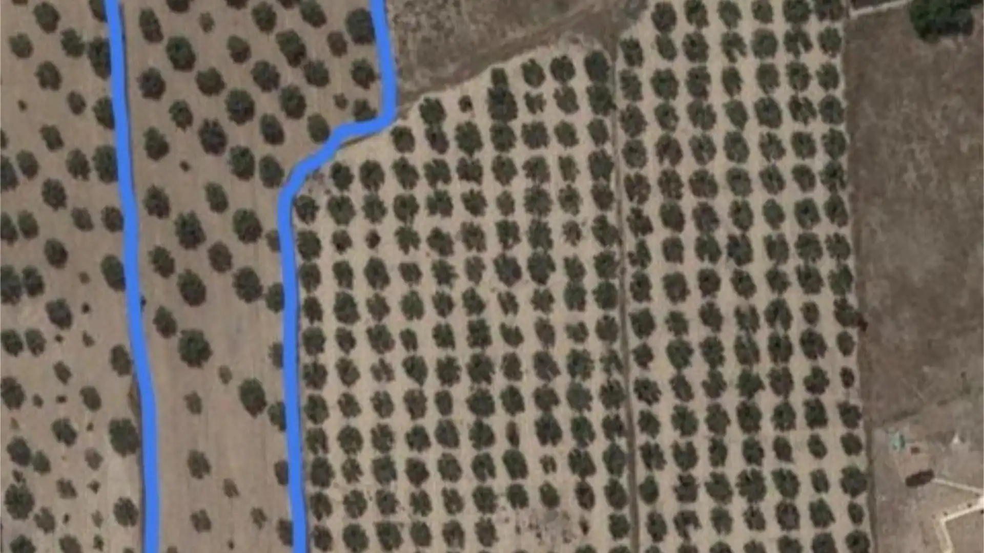 Finca rústica en venta en Sax