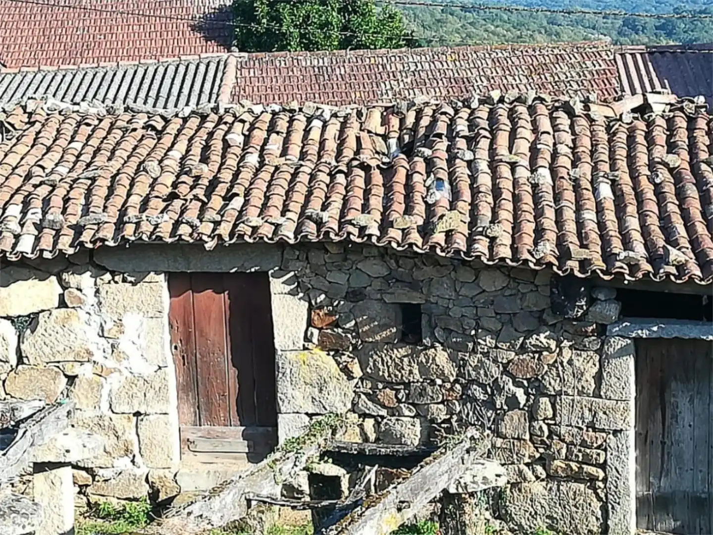 Exterior view of Ground floor for sale in A Merca  