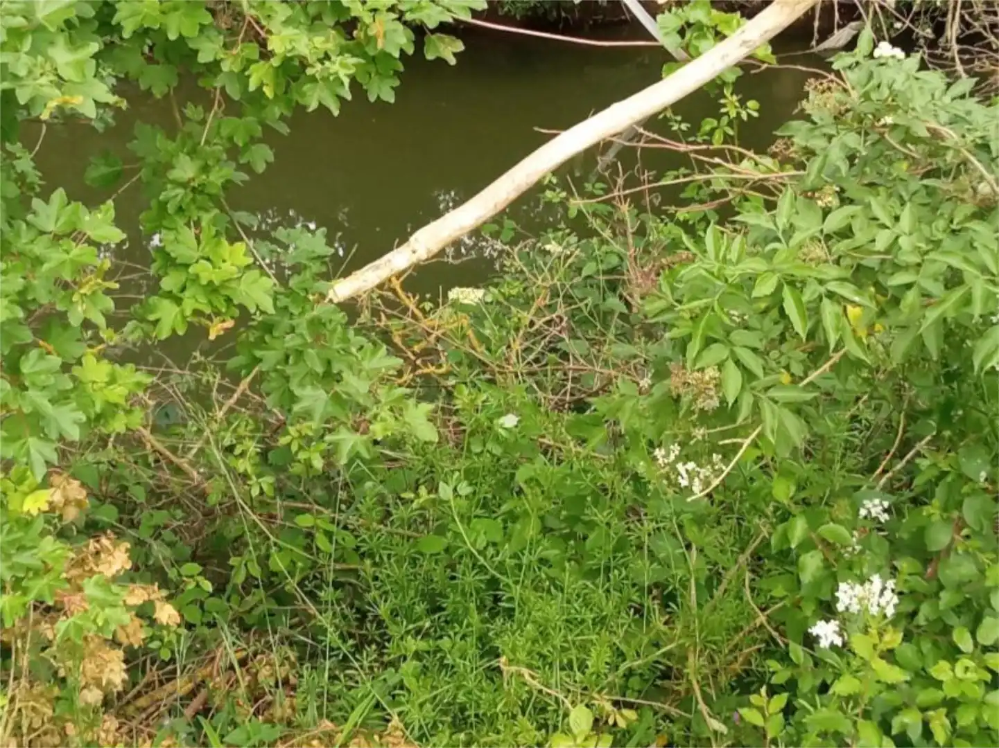Terreno en venta en Bakaiku