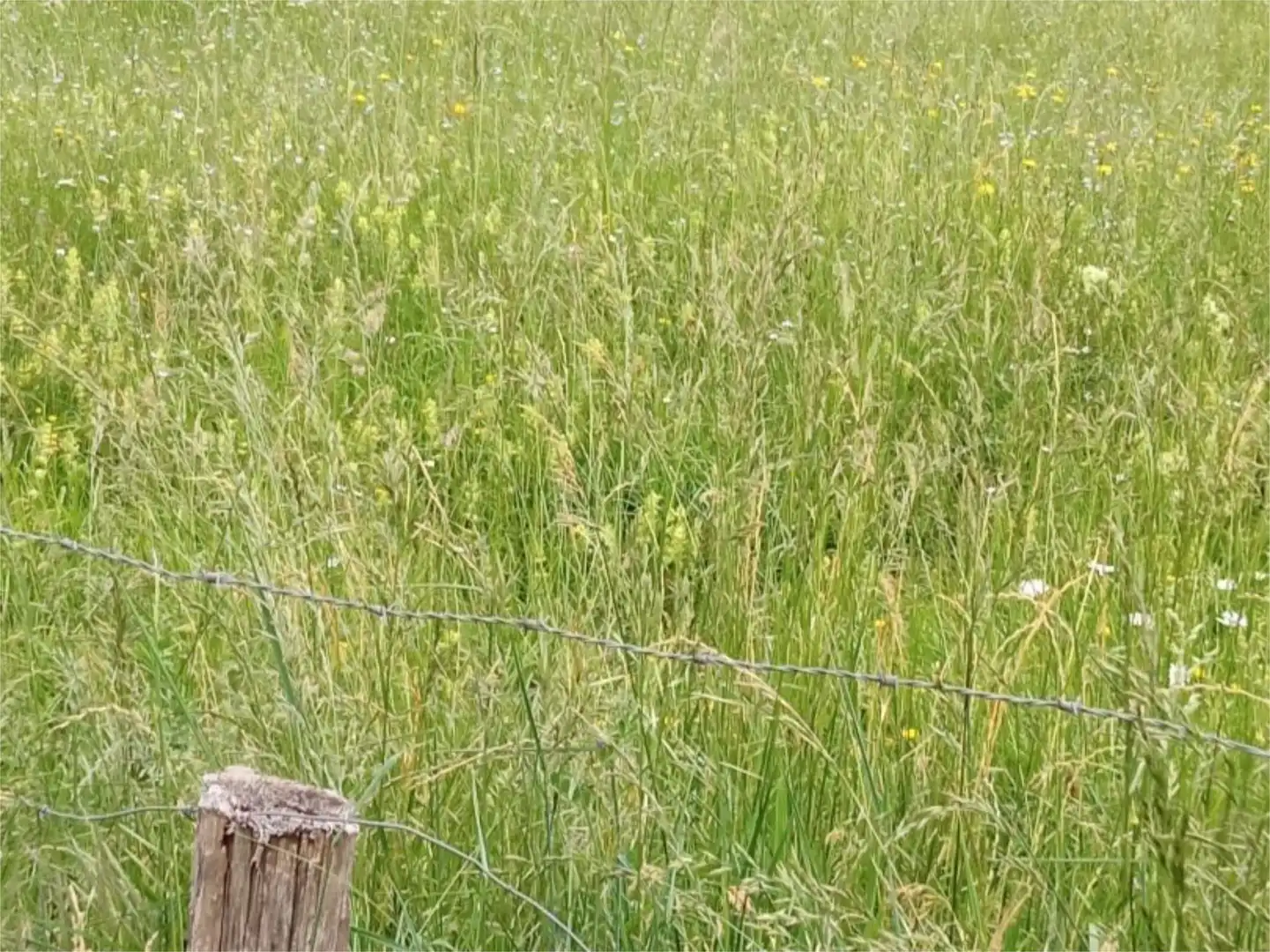 Terreno en venta en Bakaiku