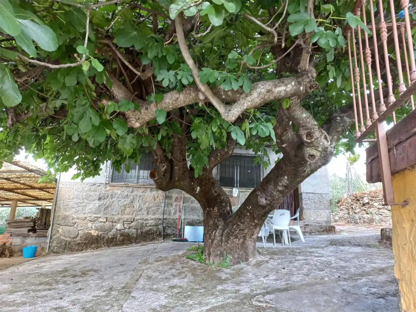 Nicht bebaubares Gelände zum Verkauf in Arenas de San Pedro Garten von Nicht bebaubares Gelände zum Verkauf in Arenas de San Pedro