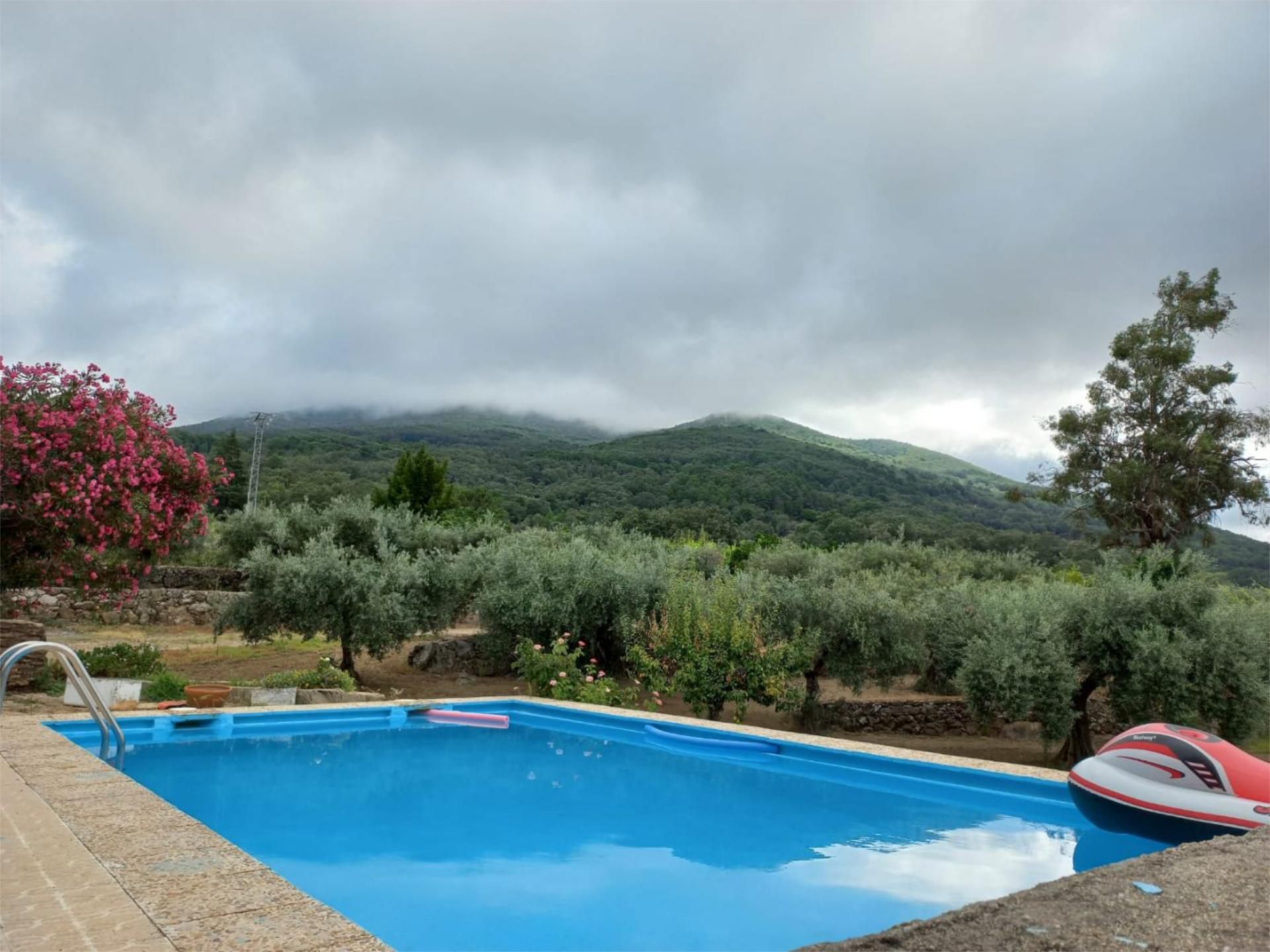Garden of Non-constructible Land for sale in Arenas de San Pedro