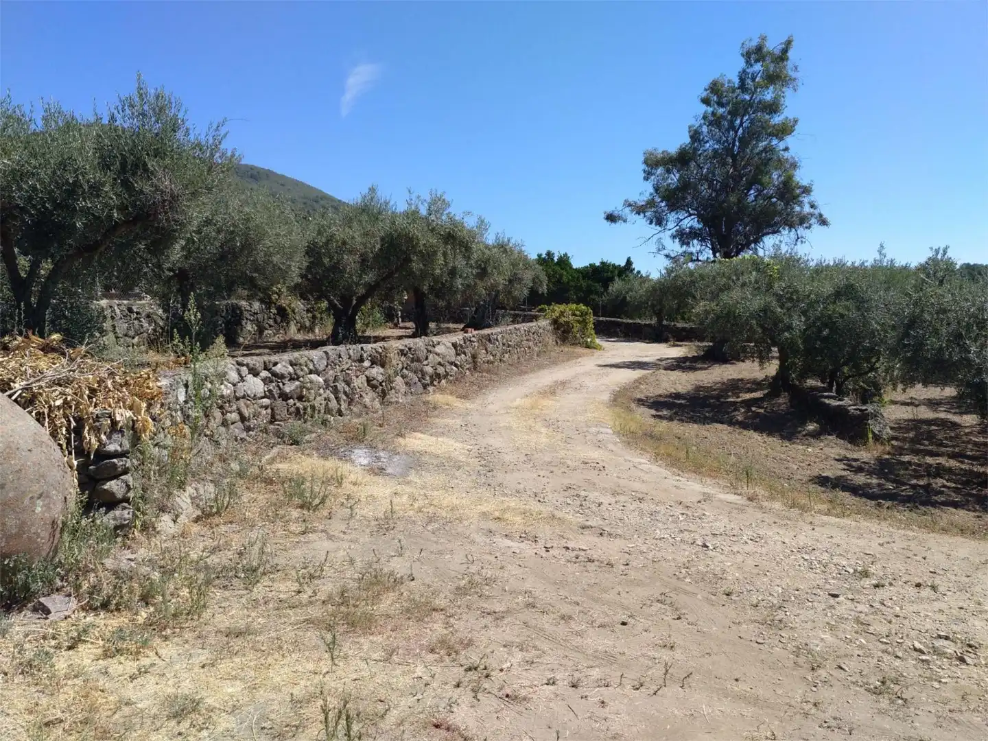 Nicht bebaubares Gelände zum Verkauf in Arenas de San Pedro Nicht bebaubares Gelände zum Verkauf in Arenas de San Pedro