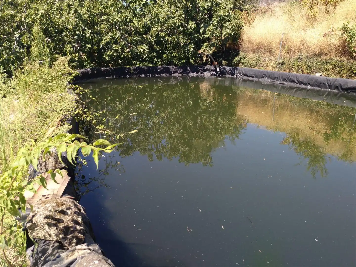 Nicht bebaubares Gelände zum Verkauf in Arenas de San Pedro Schwimmbecken von Nicht bebaubares Gelände zum Verkauf in Arenas de San Pedro