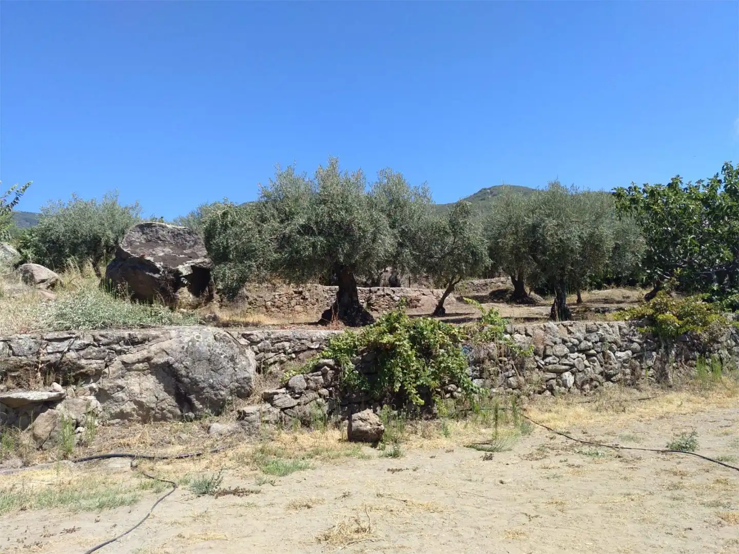 Nicht bebaubares Gelände zum Verkauf in Arenas de San Pedro Nicht bebaubares Gelände zum Verkauf in Arenas de San Pedro