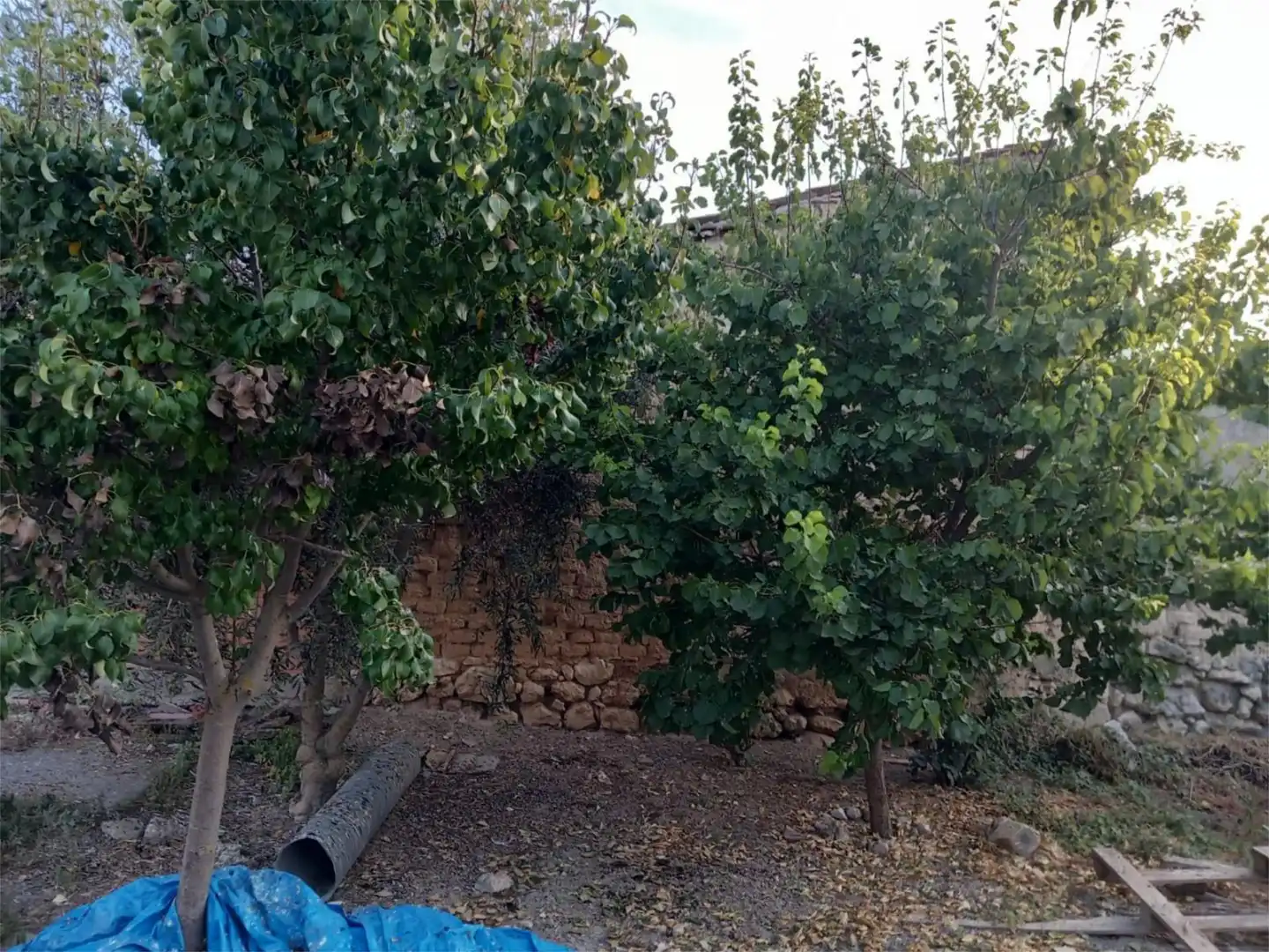 Casa adosada en venta en VP-3302, 43, Villavaquerín Casa adosada en venta en Villavaquerín