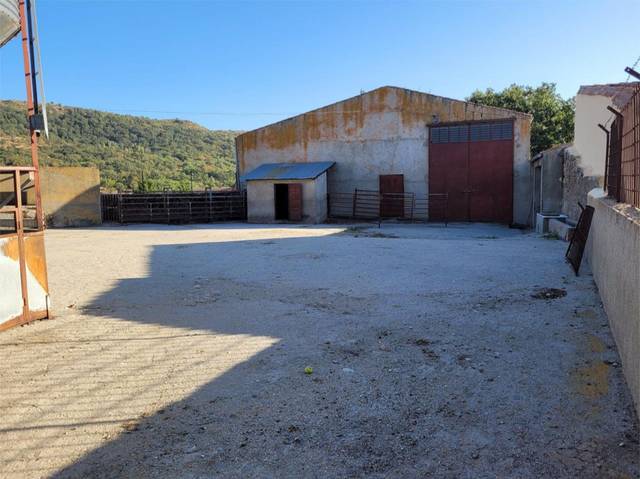 Local comercial en Alquiler en Calle Peñas Gordas, 25 en Sorihuela