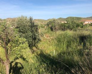 Constructible Land for sale in Albox