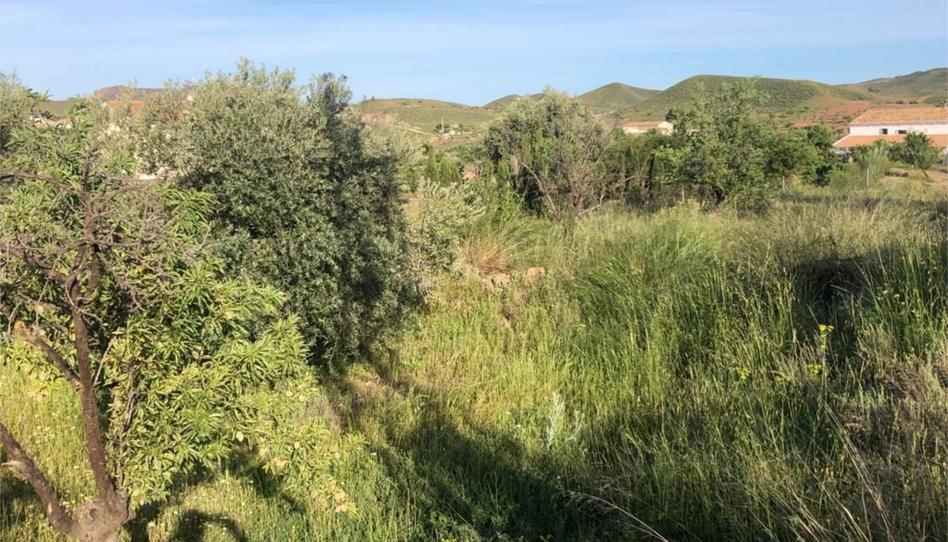 Foto 1 de Urbanizable en venta en Camino Aljambra, 111, Albox, Almería