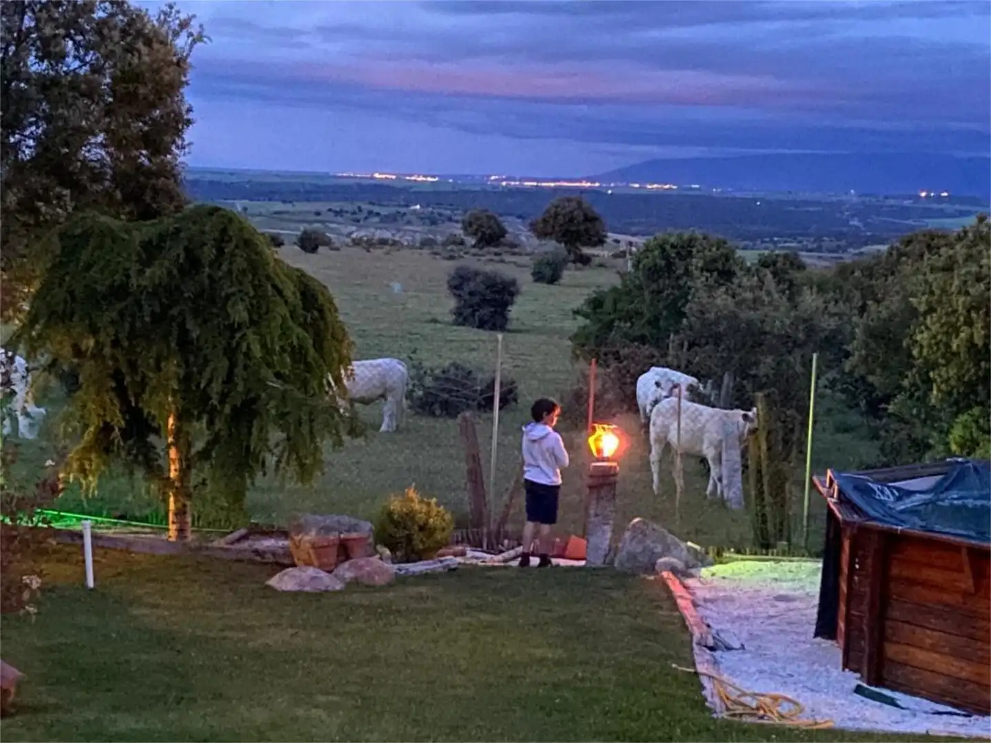 Casa o chalet en venta en Avenida las Jarillas, 24, Zarzuela del Monte Jardín de Casa o chalet en venta en Zarzuela del Monte con Calefacción, Jardín privado y Terraza