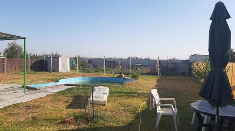 Foto 4 de Finca rústica en venta en Los Palacios y Villafranca, Sevilla