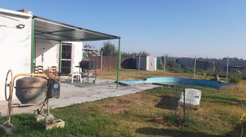 Foto 2 de Finca rústica en venta en Los Palacios y Villafranca, Sevilla