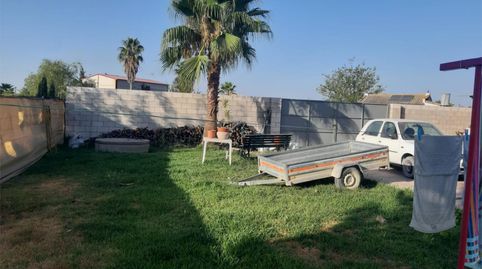 Foto 3 de Finca rústica en venta en Los Palacios y Villafranca, Sevilla