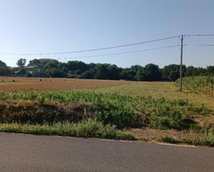 Non-constructible Land for sale in Lugo Capital