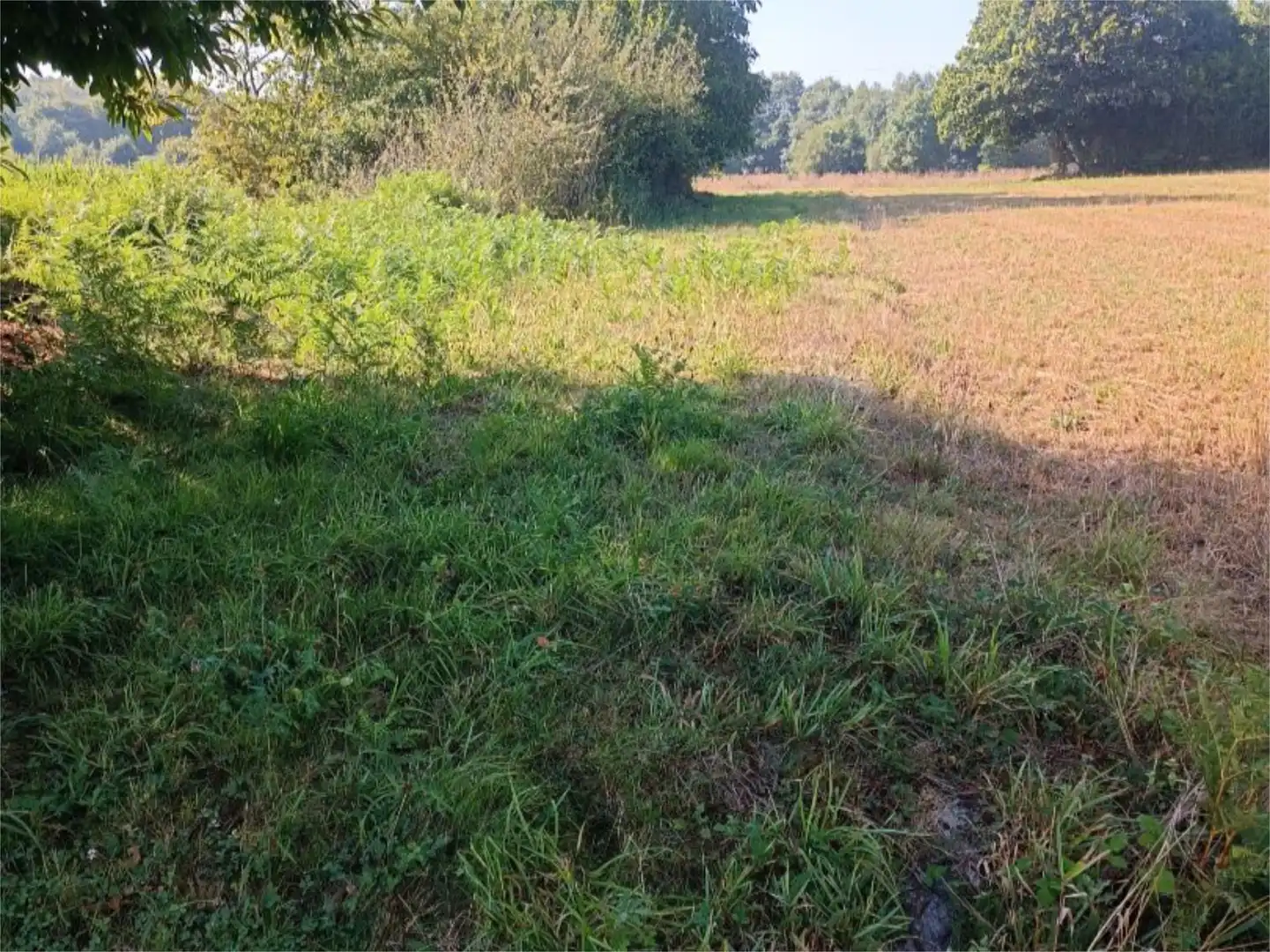 No Urbanitzable en venda a Chabián, 4, Parroquias del Este No Urbanitzable en venda en Lugo