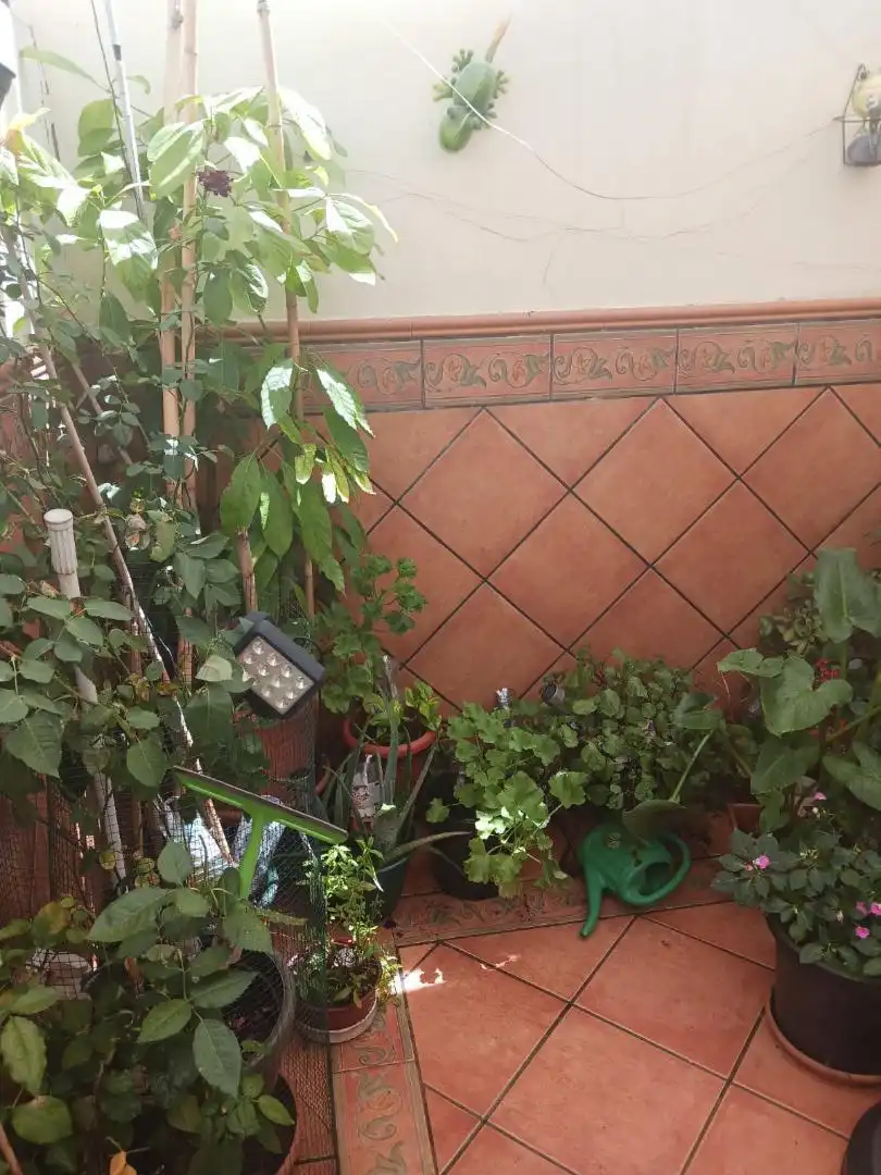 Terrassa de Casa adosada en venda en Alcalá de Guadaira amb Aire condicionat, Calefacció i Jardí privat